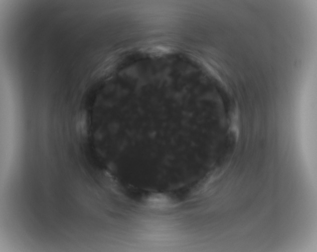 X0000114190519200910091235