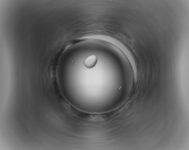 X0000114190520200910091235