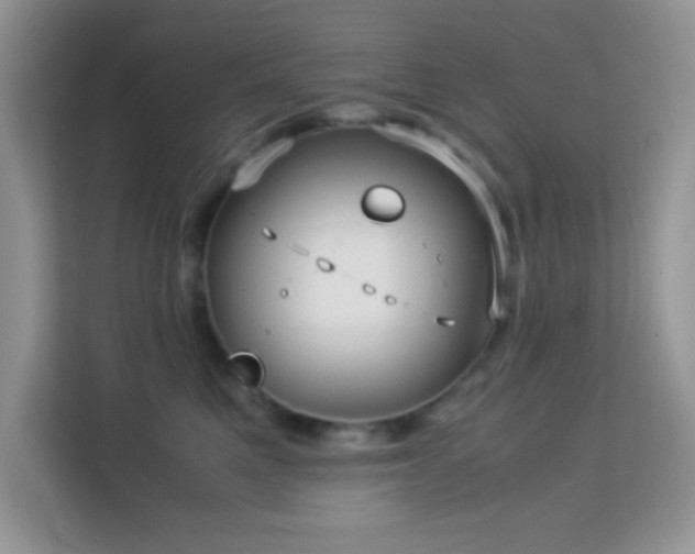 X0000114190521200910091235