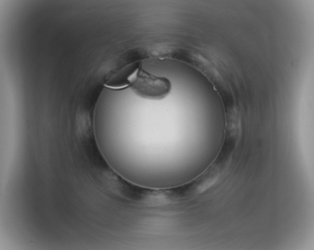 X0000114190523200910091235