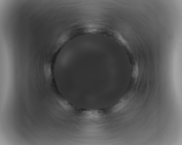 X0000114190524200910091235