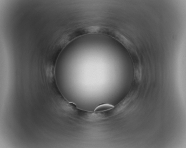 X0000114190525200910091235