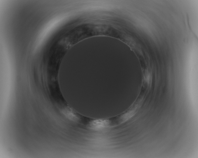 X0000114190526200910091234
