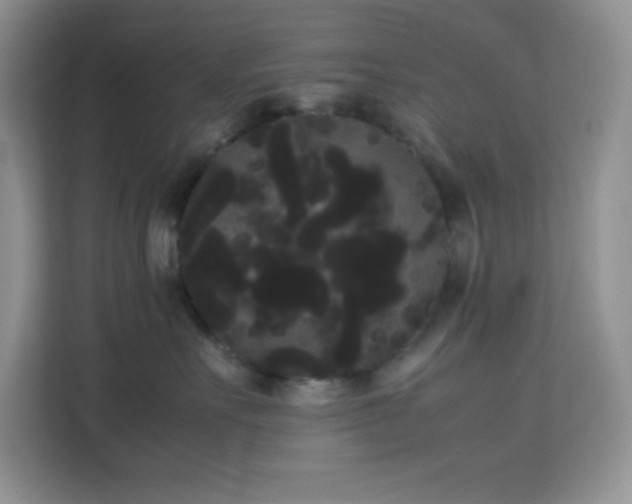 X0000114190527200910091234