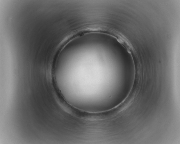 X0000114190530200910091234
