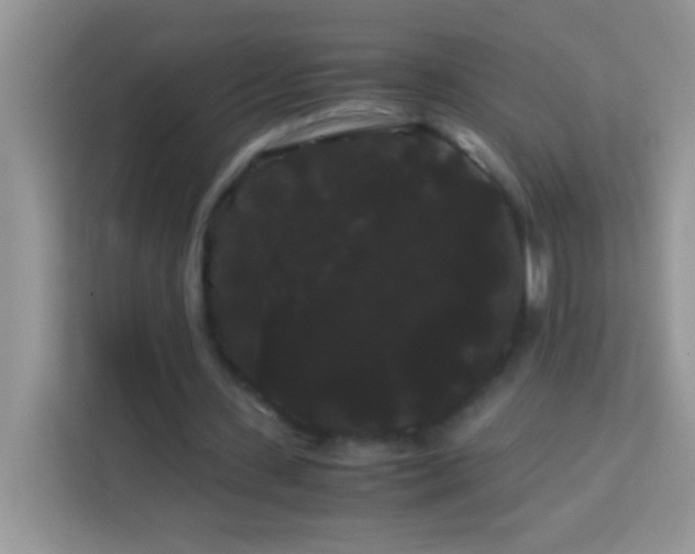 X0000114190531200910091234