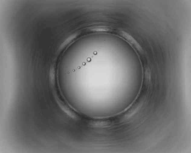 X0000114190533200910091234