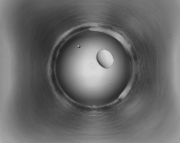 X0000114190536200910091234