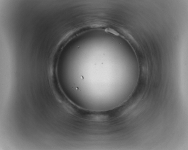 X0000114190539200910091234