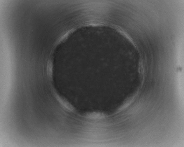 X0000114190542200910091234