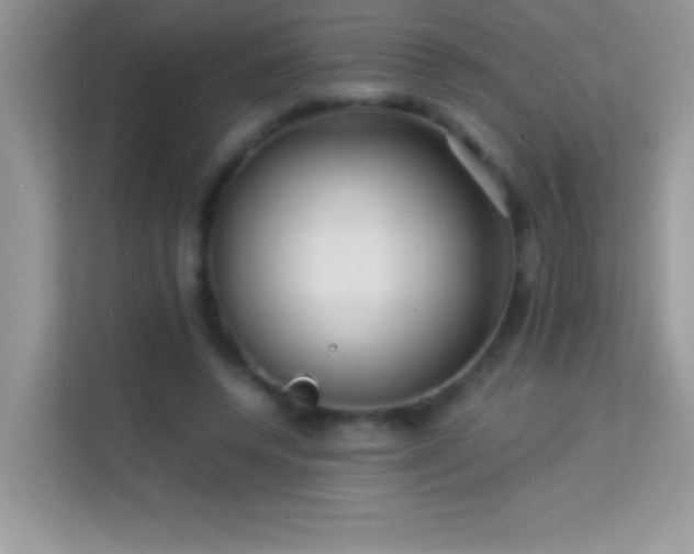 X0000114190544200910091234