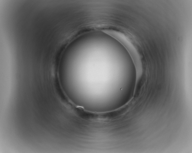 X0000114190546200910091234