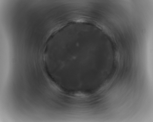 X0000114190547200910091234
