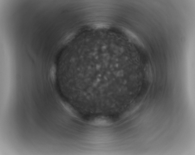 X0000114190550200910091234