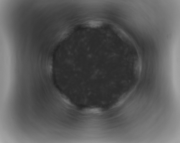 X0000114190553200910091234