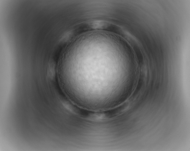 X0000114190554200910091234