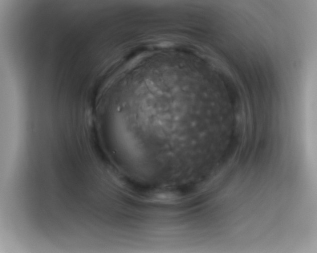 X0000114190555200910091234