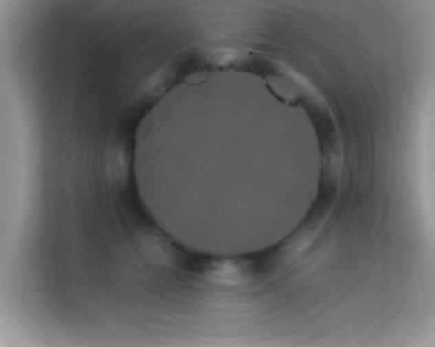 X0000114190558200910091234