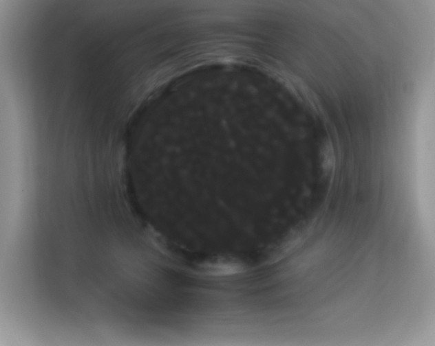 X0000114190559200910091234
