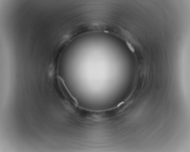 X0000114190560200910091234