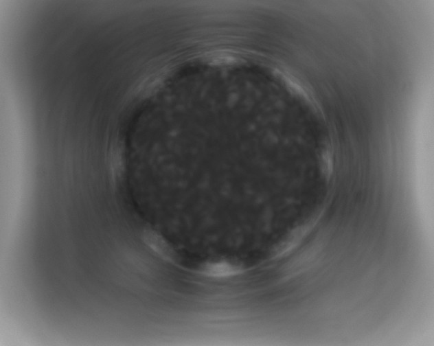 X0000114190561200910091234
