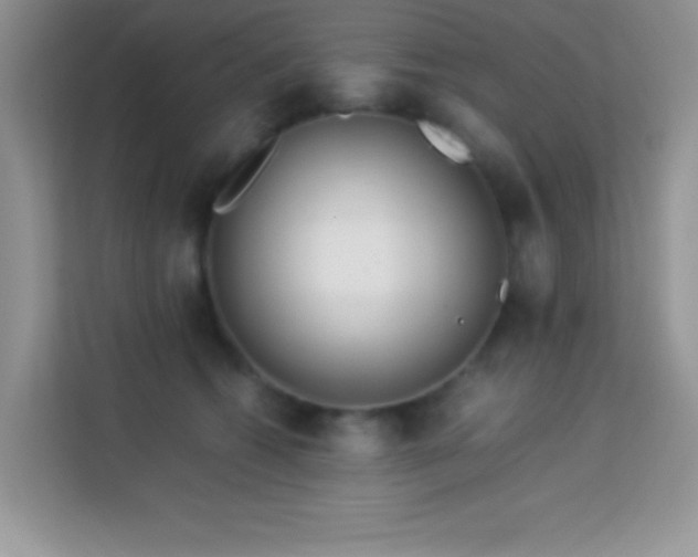 X0000114190562200910091234