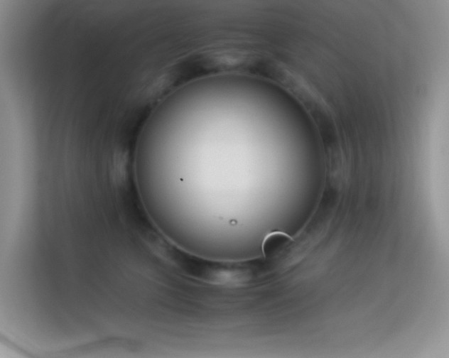 X0000114190563200910091234