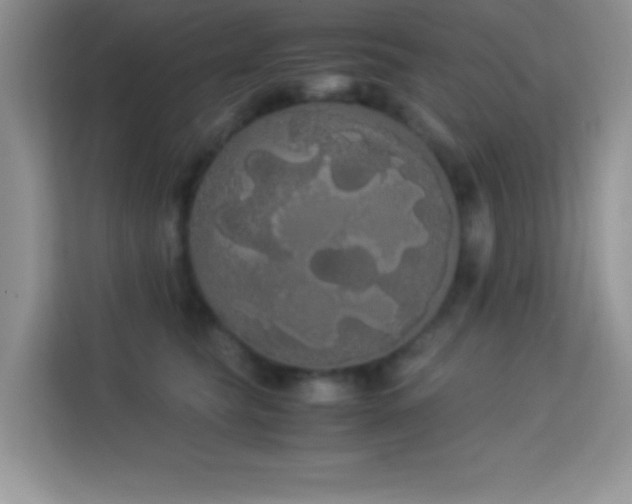 X0000114190565200910091234