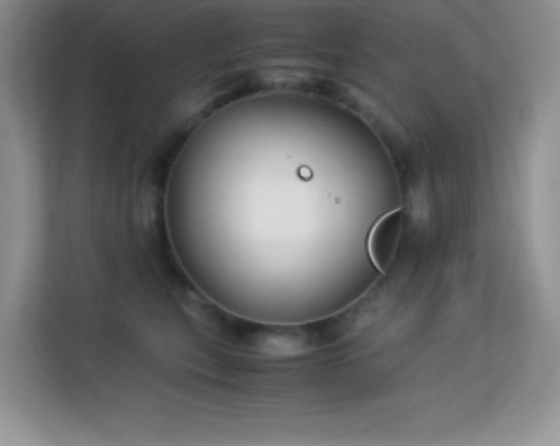 X0000114190567200910091234