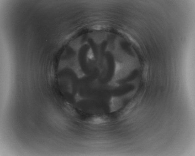 X0000114190569200910091234