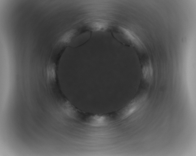 X0000114190570200910091234