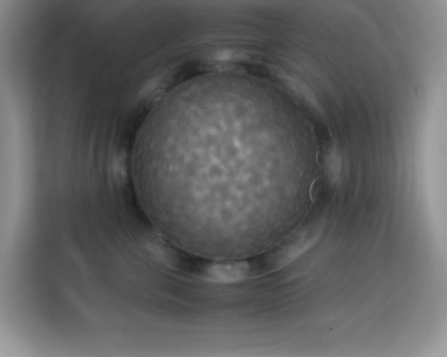 X0000114190571200910091234