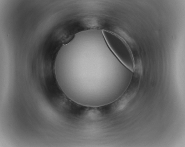 X0000114190572200910091234