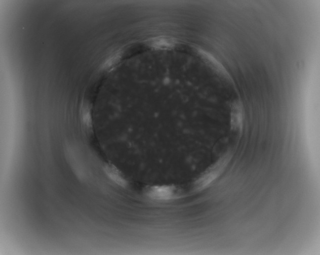 X0000114190573200910091234