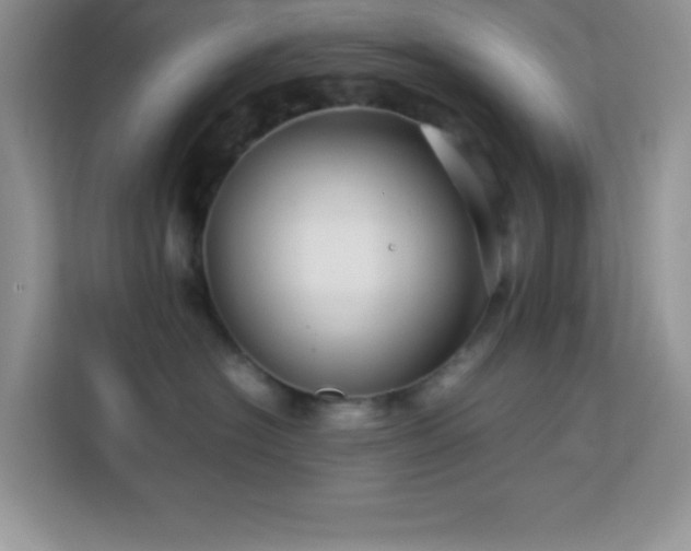 X0000114190574200910091234