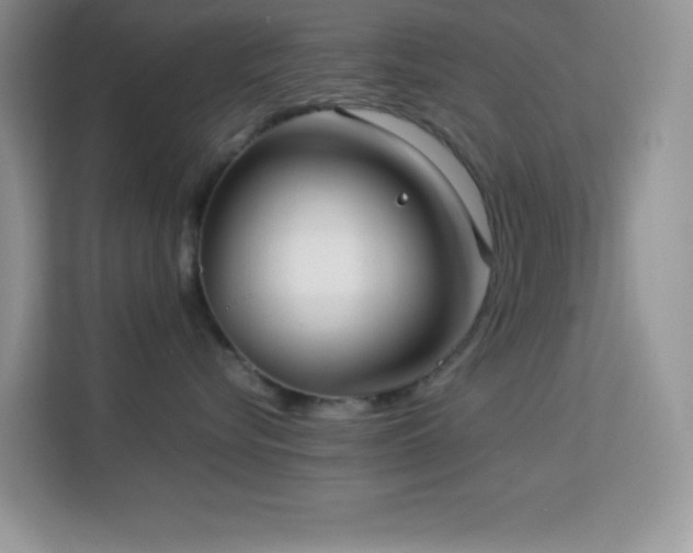 X0000114190576200910091234