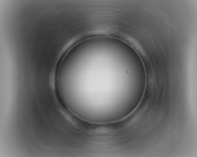 X0000114190578200910091234