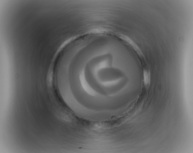 X0000114190579200910091234