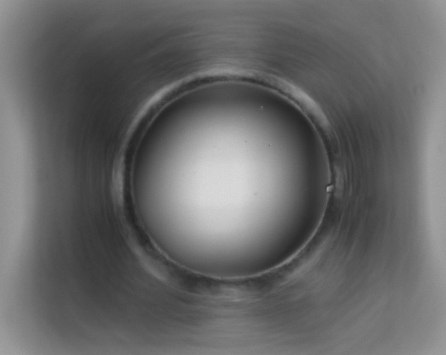 X0000114190580200910091234