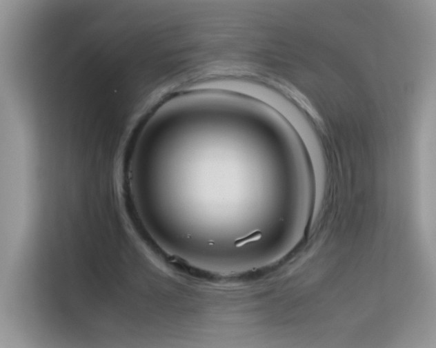 X0000114190581200910091234
