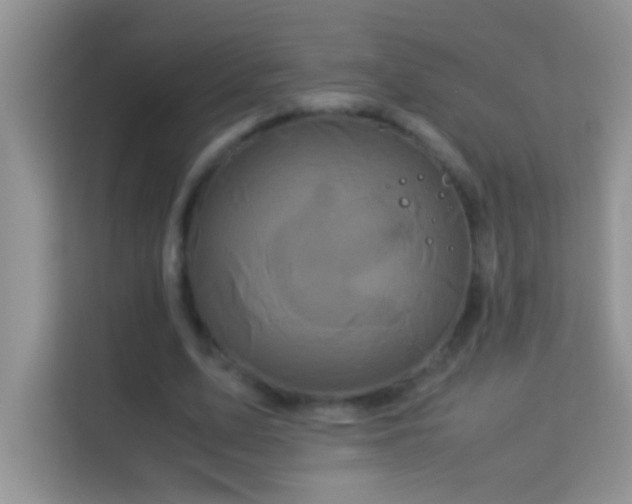 X0000114190583200910091234