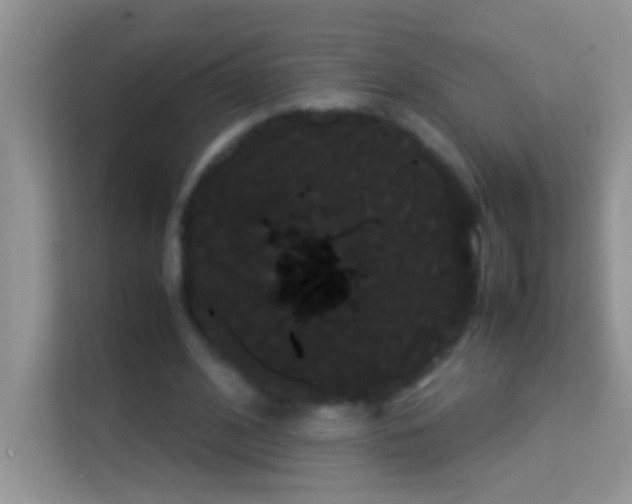 X0000114190584200910091234