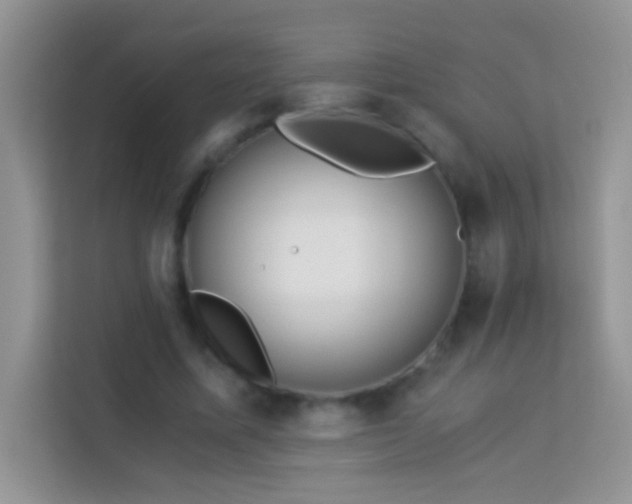 X0000114190587200910091234