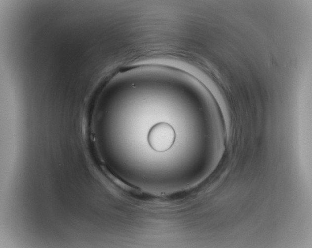 X0000114190589200910091234