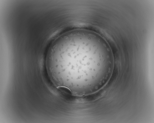 X0000114190591200910091234