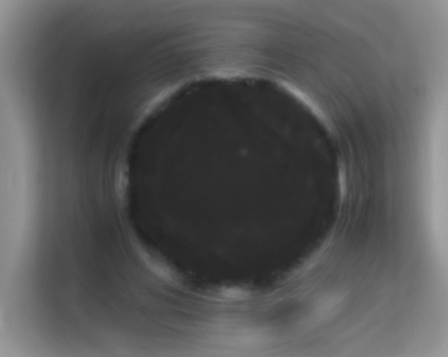 X0000114190592200910091234