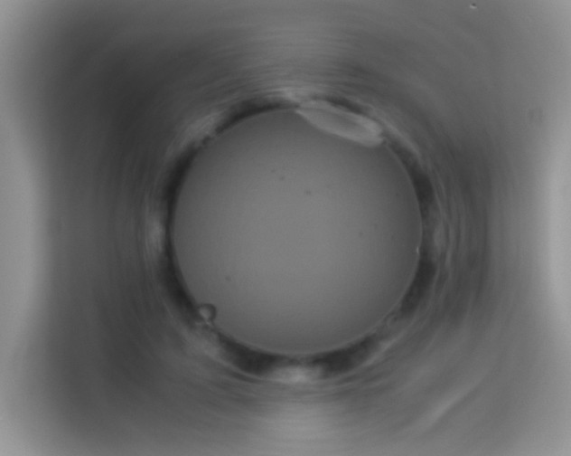 X0000114190595200910091234
