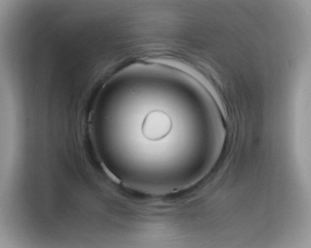 X0000114190597200910091234