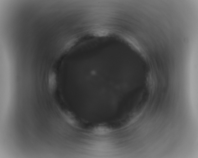X0000114190598200910091234