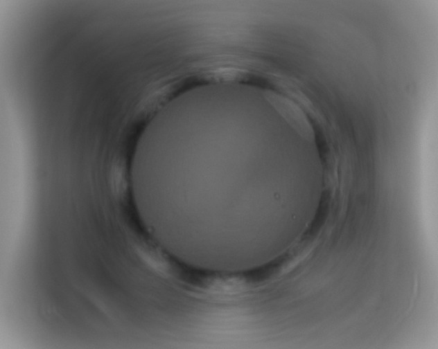 X0000114190599200910091234